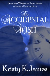 The Accidental Wish - small cover